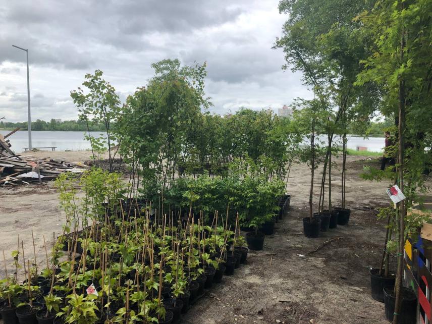 Photo 12 for Establishment of the innovative ecological park "Tesla Territory"