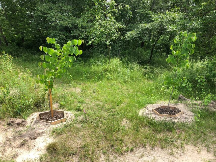 Photo 17 for Establishment of the innovative ecological park "Tesla Territory"