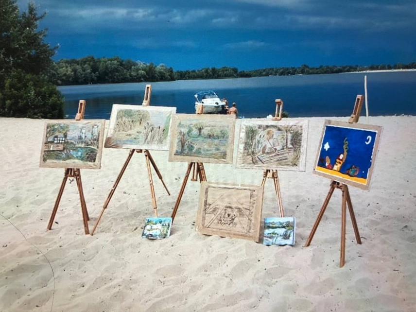 Photo 1 for Organization of openings in recreation areas, master classes, environmental education