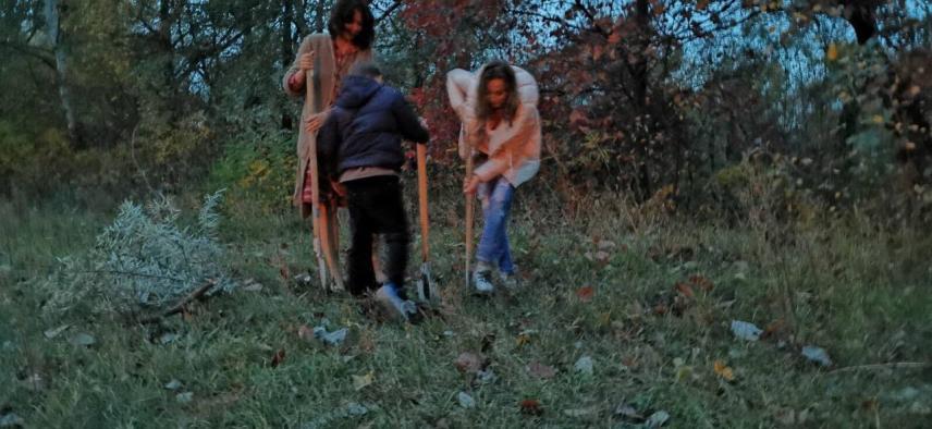 Photo 8 for Organization of openings in recreation areas, master classes, environmental education